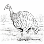 Realistic Wild Turkey in Nature Coloring Pages 2