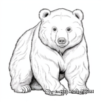Realistic Wombat Coloring Pages 3