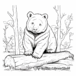 Realistic Wombat Coloring Pages 4