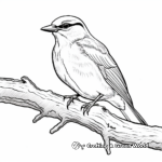 Red-Breasted Nuthatch Nobility Coloring Pages 4