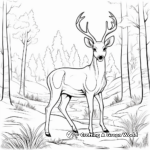 Red Deer in Forest Scene Coloring Pages 1