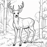 Red Deer in Forest Scene Coloring Pages 2
