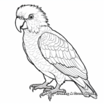 Red-fronted Macaw Parrot Coloring for Adults 3