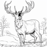 Roaring Red Stag Coloring Pages 4