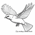Robin in Flight Coloring Pages 1