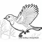 Robin in Flight Coloring Pages 2