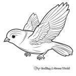 Robin in Flight Coloring Pages 3
