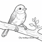 Robin in Woodland Coloring Pages 1