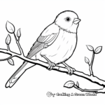 Robin on Branch Coloring Pages 1