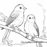 Robins in Their Natural Habitat Coloring Pages 3