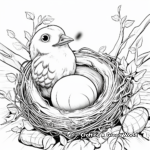 Robin's Nest and Eggs Coloring Pages 3