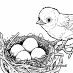 Robin's Nest and Eggs Coloring Pages 4