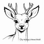 Roe Deer Head Coloring Pages for Enthusiasts 4