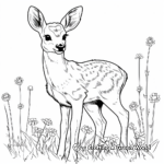Roe Deer in Springtime Coloring Sheets 2
