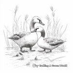 Romantic Canada Geese Pair Coloring Pages 2