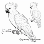 Rose-Breasted Cockatoo Coloring Pages for Kids 1