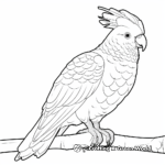 Rose-Breasted Cockatoo Coloring Pages for Kids 2