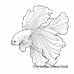 Rose Tail Betta Fish Design Coloring Pages 1