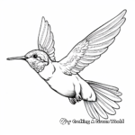 Ruby Throated Hummingbird in Flight Coloring Pages 3