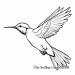 Ruby Throated Hummingbird in Flight Coloring Pages 4