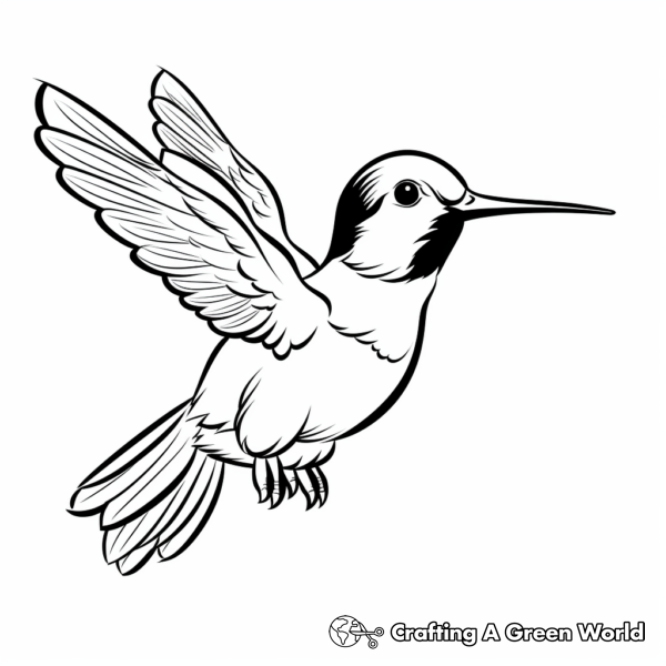 Ruby Throated Hummingbird Coloring Pages - Free &amp; Printable!