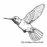 Ruby Throated Hummingbird Mid-flight Coloring Pages 2