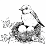 Ruby Throated Hummingbird Nest and Eggs Coloring Pages 2