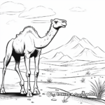Sahara Desert Scene Coloring Pages with Camel 3