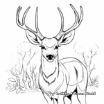 Sambar Deer Head Coloring Pages 3
