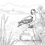 Scenic Lake Setting Wood Duck Coloring Pages 4