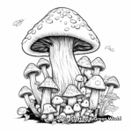 Seasonal Mushroom Collection Coloring Pages 1