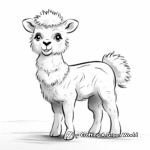 Simple Alpaca Coloring Pages for Kids 2