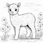 Simple Alpaca Coloring Pages for Kids 3
