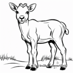 Simple Bighorn Sheep Outline Coloring Pages 1
