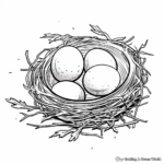 Simple Bird Nest with Eggs Coloring Pages 1