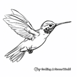 Simple Coloring Pages for Kids: Ruby Throated Hummingbird 4