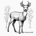 Simple Deer Coloring Pages for Kids 1