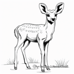 Simple Deer Coloring Pages for Kids 3