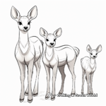 Simple Deer Family Coloring Pages 1