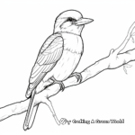 Simple Kookaburra Coloring Pages for Kids 1