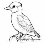 Simple Kookaburra Coloring Pages for Kids 3