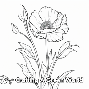 Peony Coloring Pages - Free &amp; Printable!