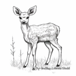 Simple Spotted Deer Coloring Pages 3