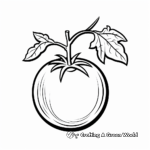 Simple Tomato Coloring Pages for Preschoolers 1