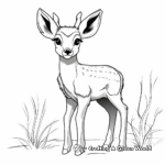 Simplistic Kid-friendly Deer Coloring Pages 1