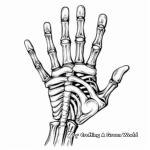Skeleton Hand Anatomy for Educational Coloring Pages 4