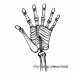 Skeleton Hand Bone Structure Coloring Pages 3