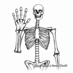 Skeleton Hand Bone Structure Coloring Pages 4