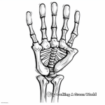 Skeleton Hand with Extended Fingers Coloring Pages 1