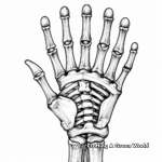 Skeleton Hand with Rings Coloring Pages for Adults 2